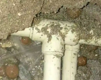 晋江测漏水多少钱