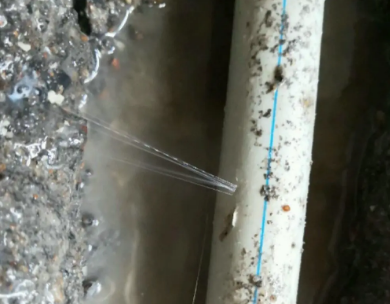 晋江测漏水哪家好